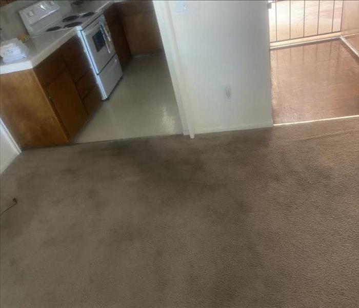 carpet with water damage