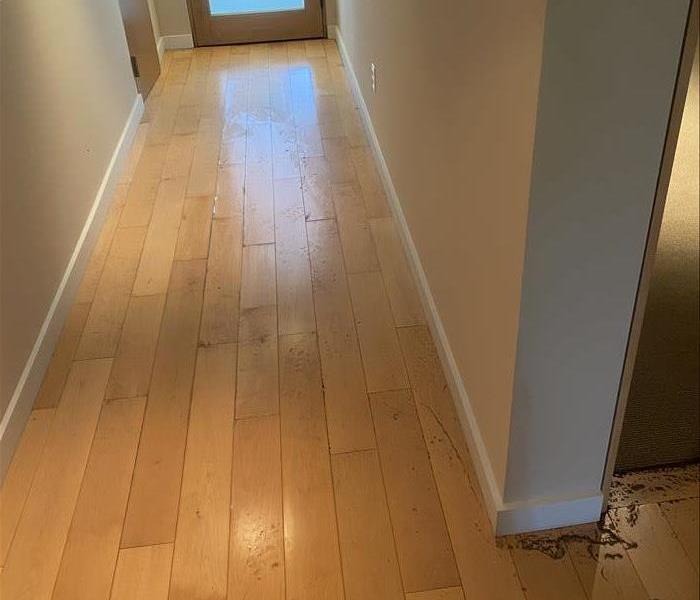 Wood floors after water damage