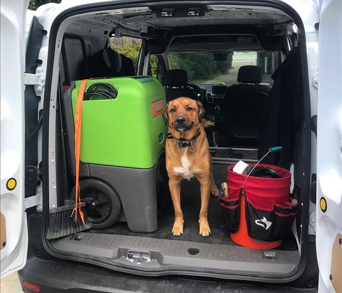 Dog and SERVPRO van and equipment