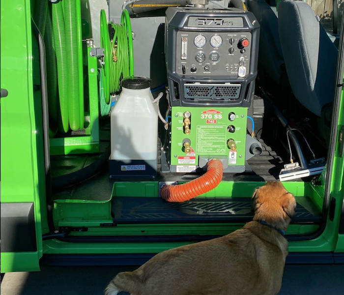 dog in front of SERVPRO green van and equipment